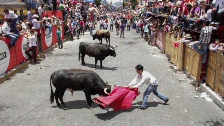 Al menos 20 heridos por toros en festejos de Huamantlada