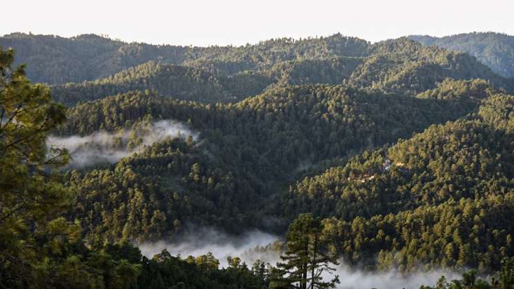 Trabaja Sectur para incrementar flujo de visitantes a Sierra Sur 