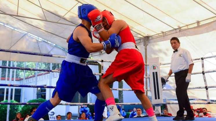 Oaxaca nuevamente sede del torneo regional de box Sur-Sureste 