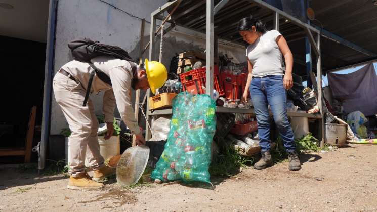 Convoca SSO limpieza de patio y vivienda contra dengue 