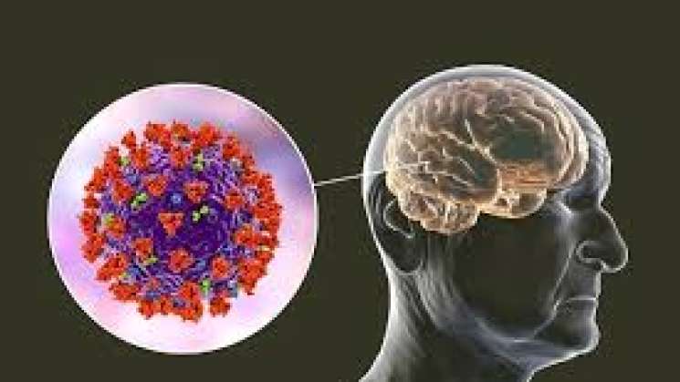 Daño a órganos y neuronas, podrían ser causas del COVID largo