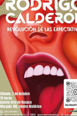 Exposición «Revolución de las expectativas» de Rodrigo Calderón