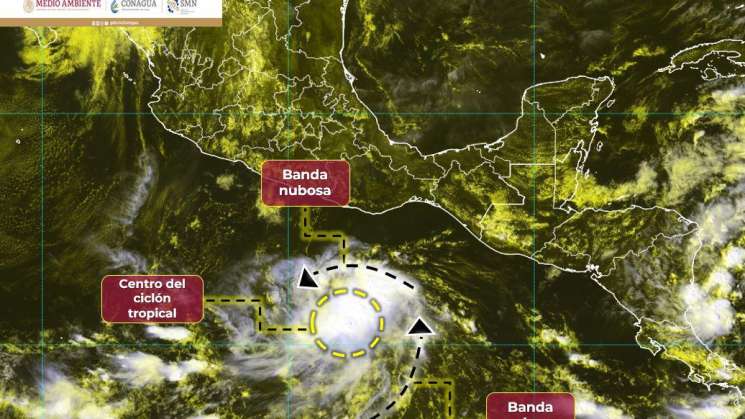 Tormenta tropical Otis se forma frente a las costas de Oaxaca   