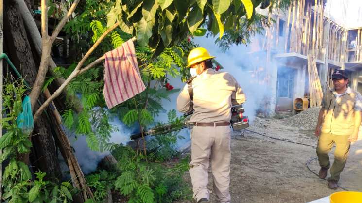 Refuerza SSO acciones de prevención contra el dengue 