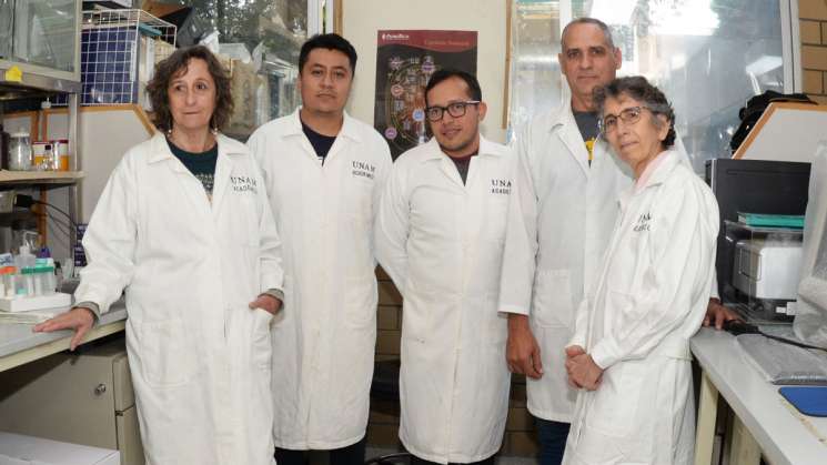 UNAM desarrolla molécula contra el cáncer de mama