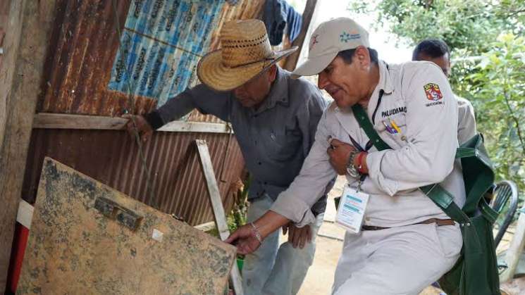 En Oaxaca, 13 municipios registran casos de dengue 