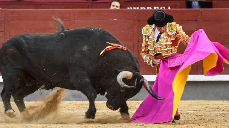 Nuevamente suspenden corridas de toros en la Plaza México de CdMx