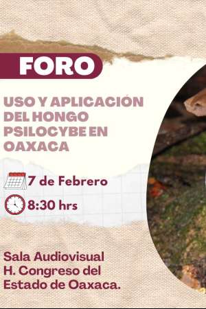  Realizará Congreso de Oaxaca foro sobre Hongos para sanación