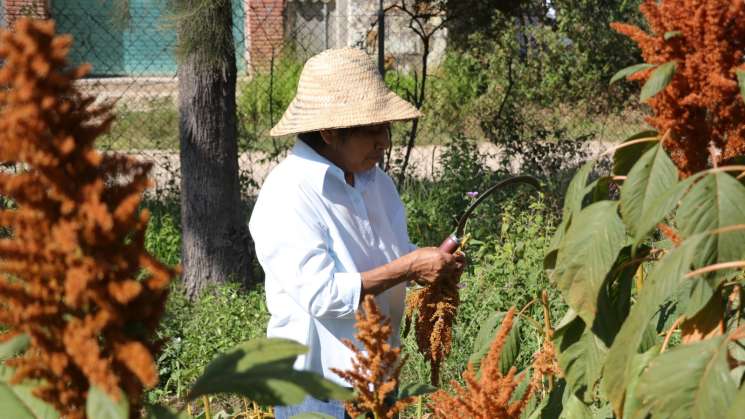 Con más de 40 cursos agropecuarios promueve Icapet economía 