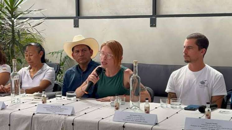 Crean en Oaxaca Fondo Agavero contra daño ambiental del mezcal 