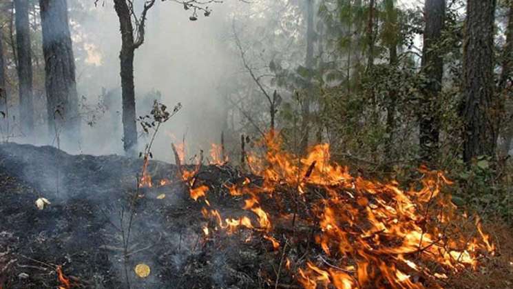 Se incrementan incendios forestales en Oaxaca