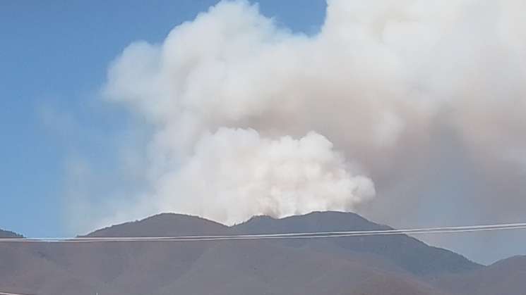 Tras incendio,reabren tránsito en carretera Ixtlán-Valle Nacional