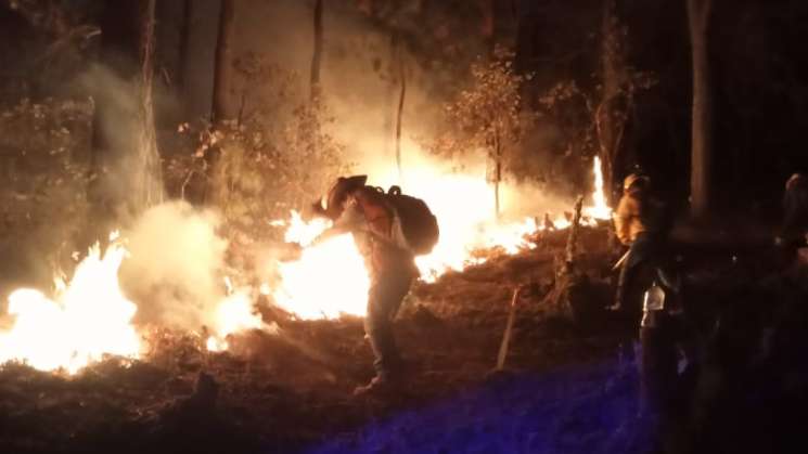 Oaxaca lleva 10 incendios forestales suscitados en la entidad