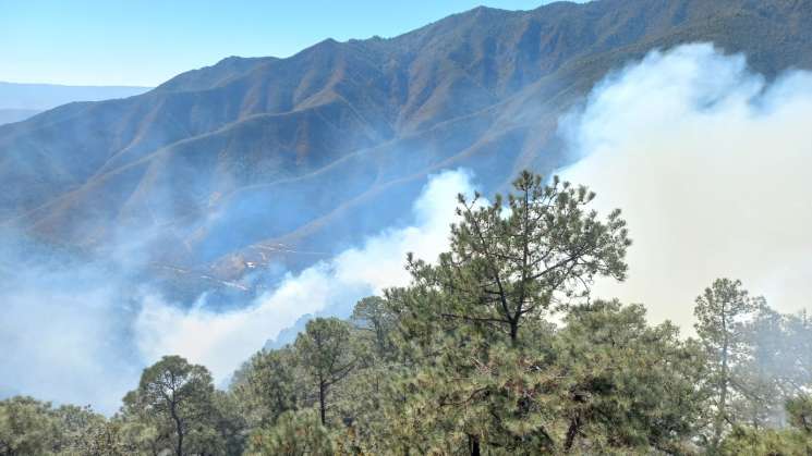 Coesfo combate y controla 5 incendios en regiones de Oaxaca 