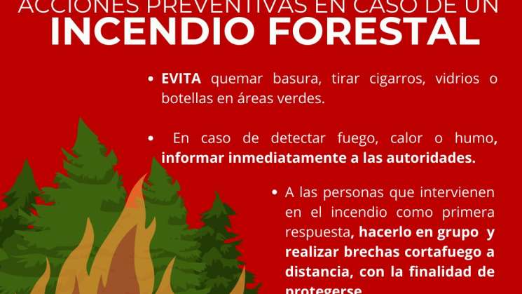 Protección Civil emite recomendaciones ante incendios forestales