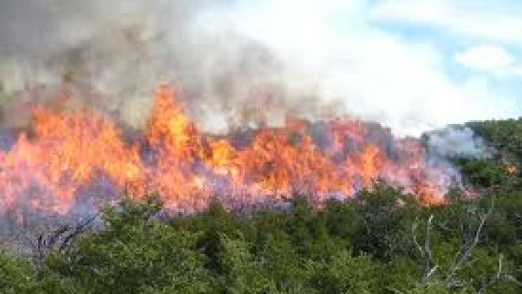 Atiende Coesfo tres Incendios en diversos puntos de Oaxaca 