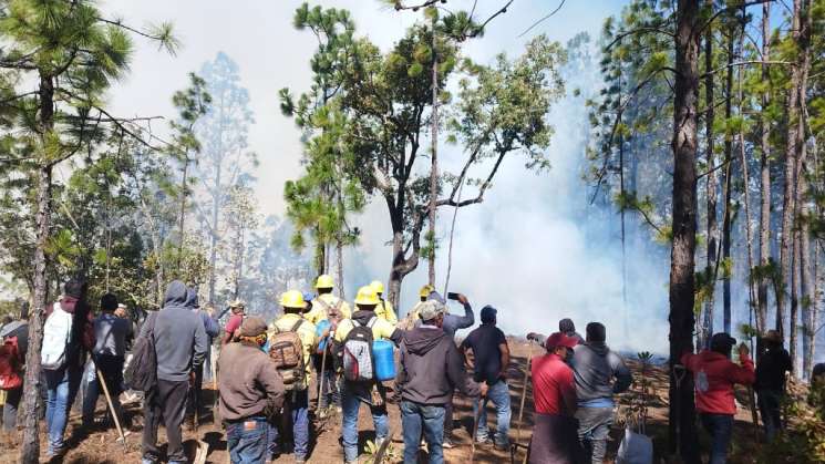 Reporta Coesfo control del 50% en incendio de la Sierra Sur   