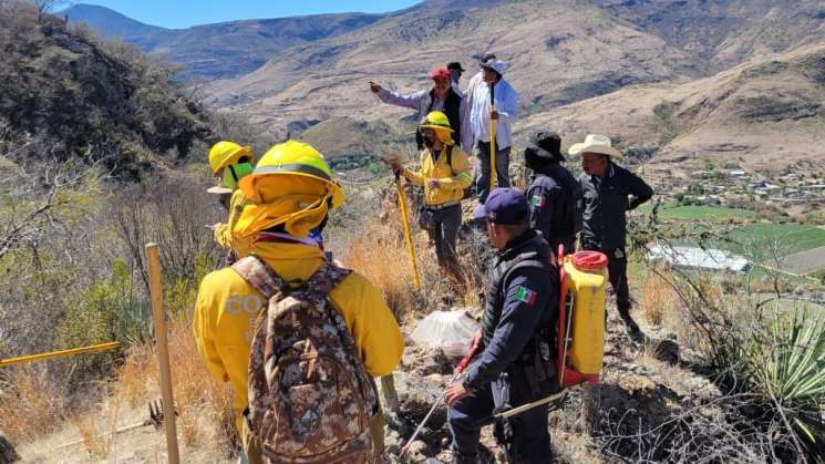    Coesfo liquida y controla cinco incendios en Oaxaca  