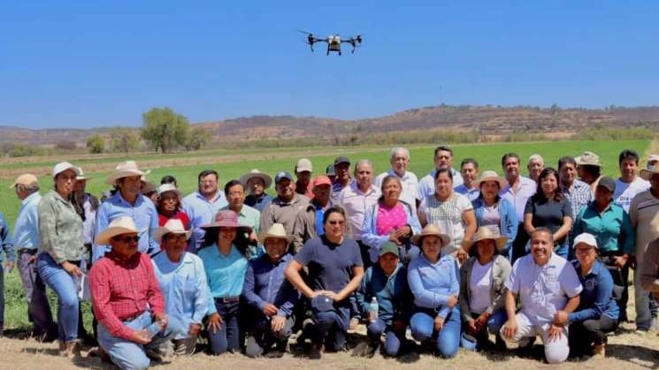 Emplea Sefader uso de drones para combatir plagas en la mixteca 