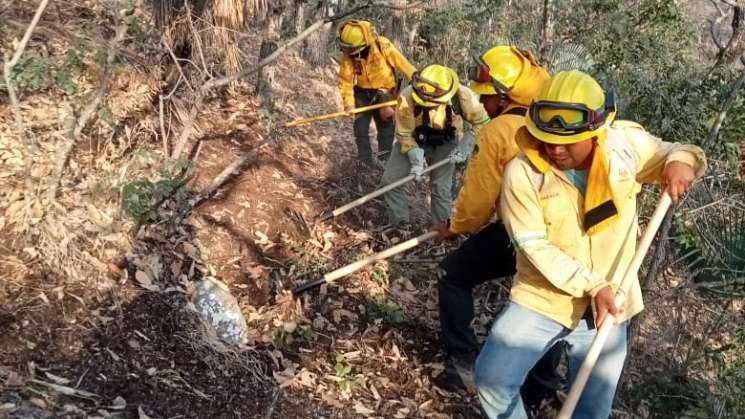   Informa Coesfo que incendio en la Mixteca está controlado  