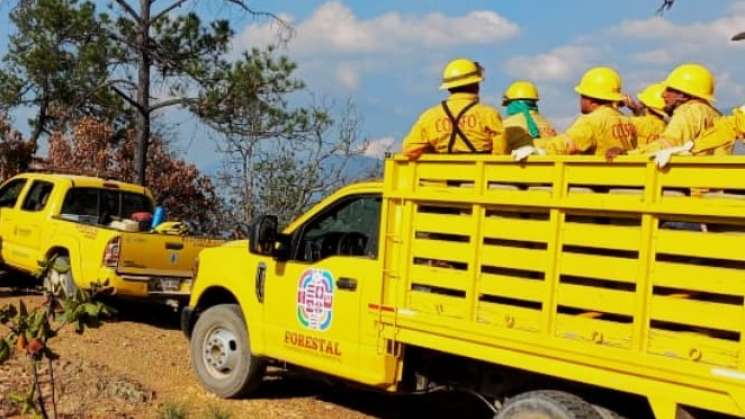  Atiende Coesfo incendio forestal activo en Santiago Tilantongo  