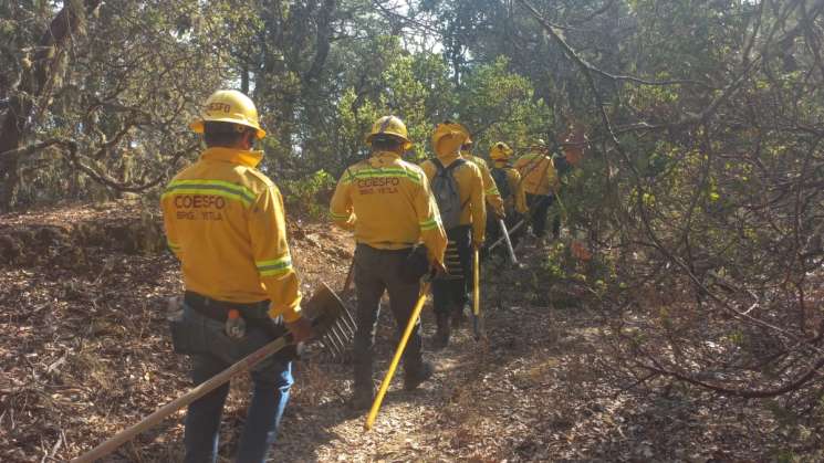 Atienden incendio en San Juan Bautista Guelache