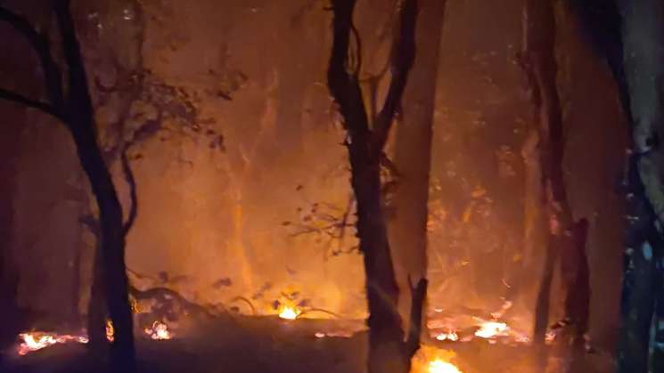 Notifica Coesfo control de incendio en Teotitlán del Valle 