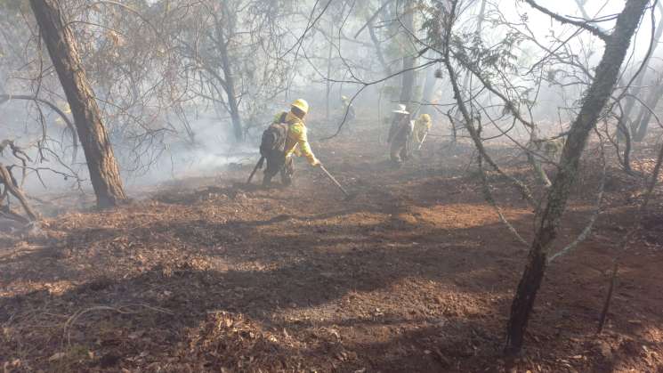 Atienden incendio en localidades de San Martín Peras    