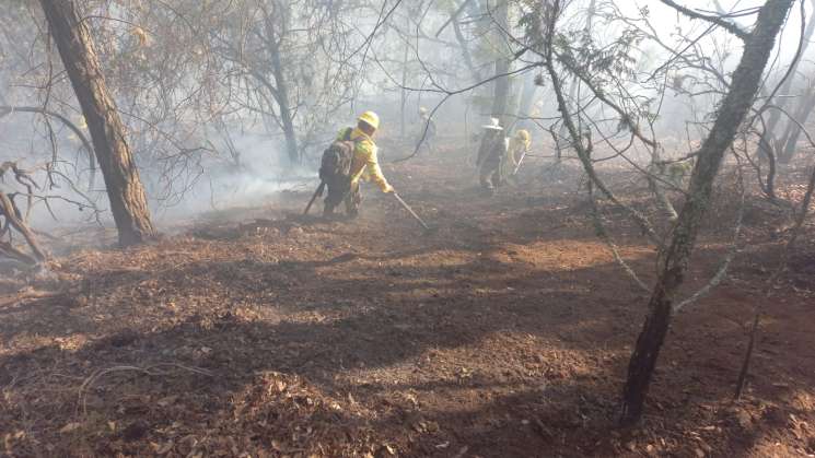 Atiende Coesfo incendio en San Juan Achiutla   