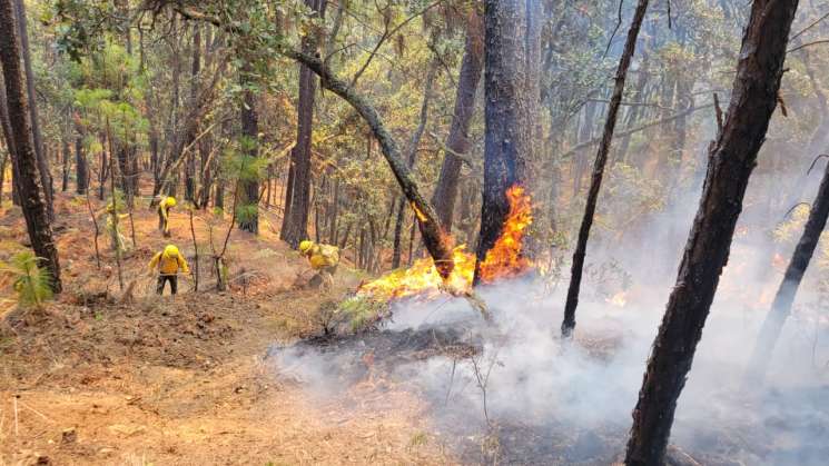   Controla Coesfo incendios en localidades de San Martín Peras   