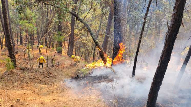   Reporta Coesfo avance en el control de incendios en Putla    