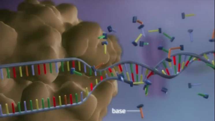 Revelan científicos que ADN humano ha comenzado a evolucionar