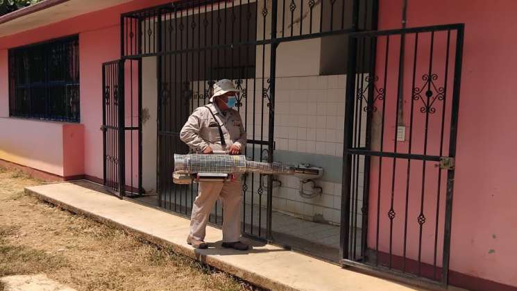 Continúa la Jornada Nacional de Lucha contra Dengue en la Mixteca