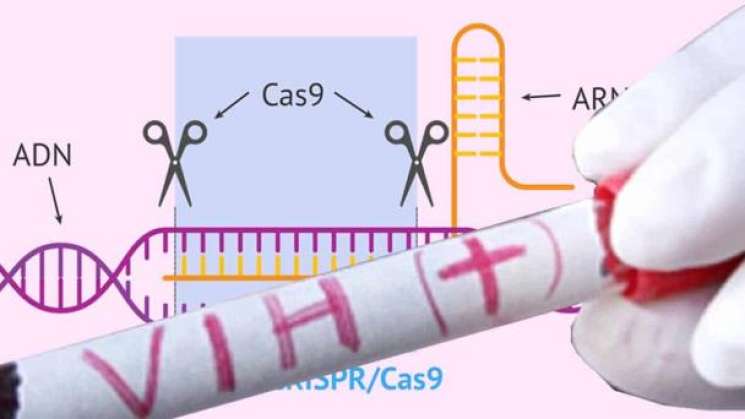 Logran científicos eliminar el VIH de células infectadas