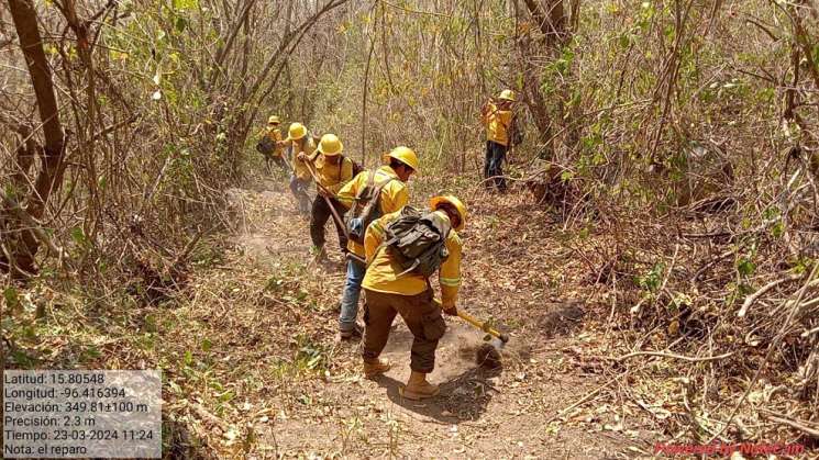  Combate Coesfo incendio forestal en Pochutla    