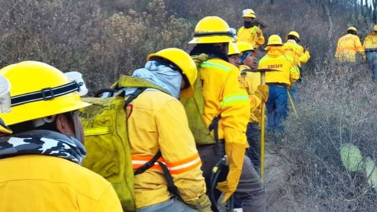   Atiende Coesfo incendio forestal en Quiaviní  