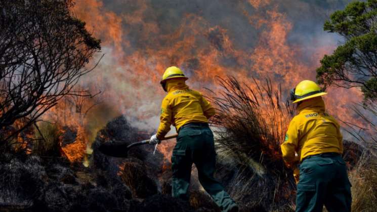 Continúan los incendios forestales activos en México