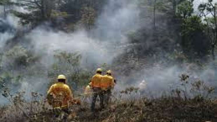   Atienden incendio forestal en San Bernardo Mixtepec   