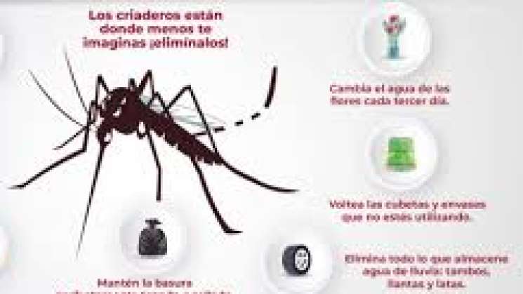 Brote atípico de dengue en Oaxaca por altas temperaturas 