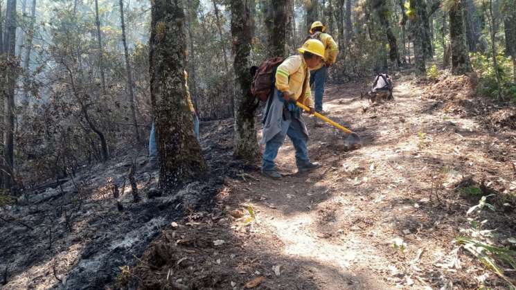 Apaga Coesfo incendios en Sierra Sur y Sierra de Juárez 