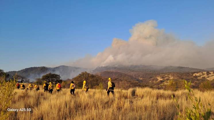   Controlan incendio forestal en la Mixteca 