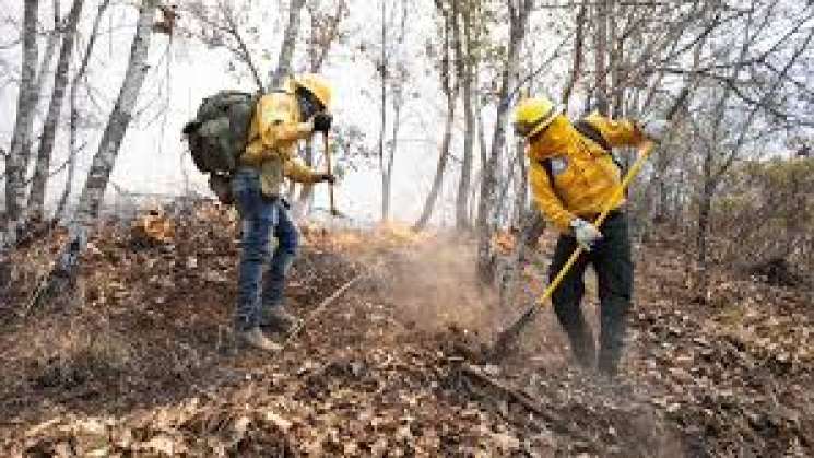 Controlado incendio en San Dionisio Ocotepec  