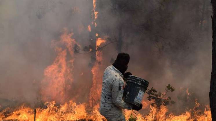 Coesfo: van 1,500 hectáreas consumidas por incendios forestales 