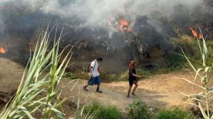 Sofoca Bomberos de Oaxaca incendio en Riveras del Río Atoyac 