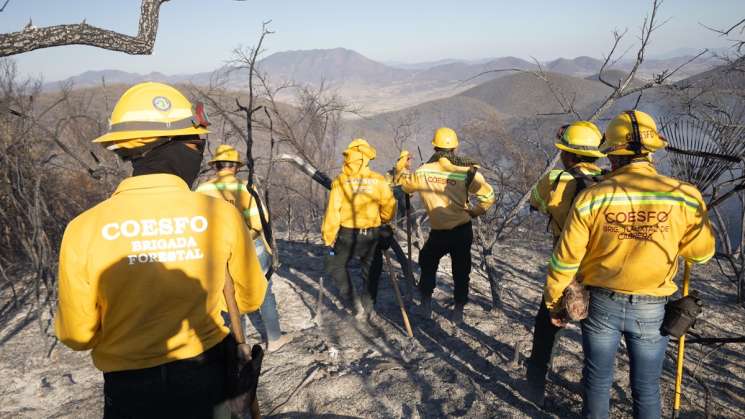 Avanza Coesfo con brecha cortafuego en perímetros de Quiavini