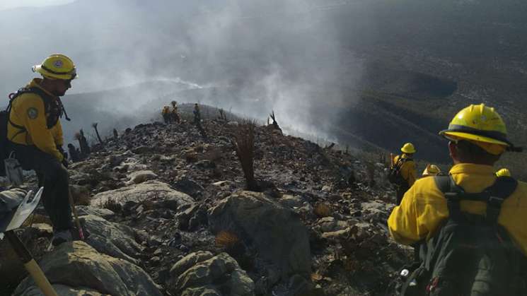 Conafor reporta 84 incendios forestales activos en México 