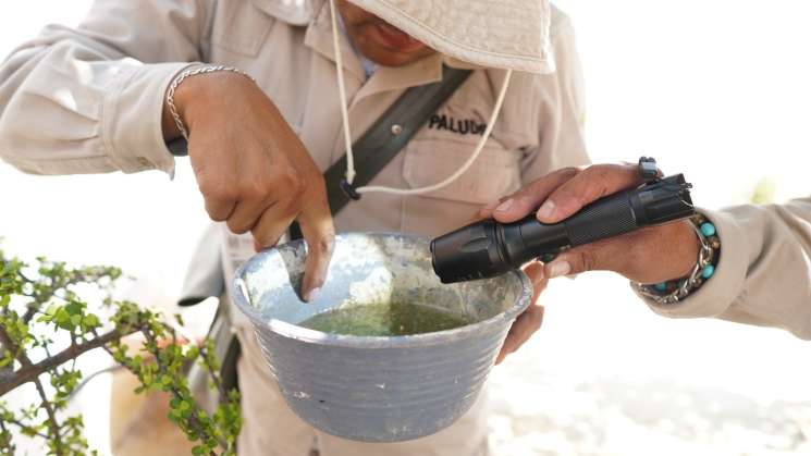    Exhorta SSO extremar medidas contra el zika  