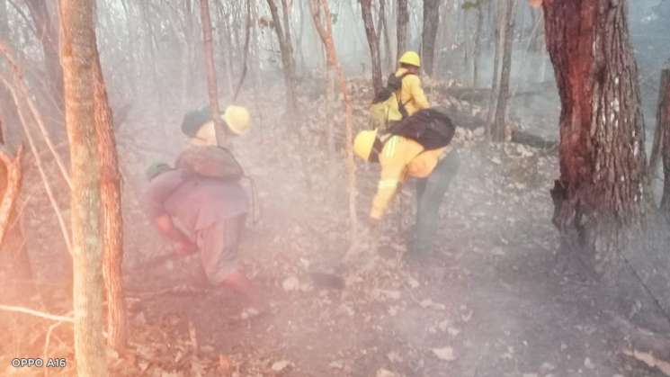   Controlado al 100 por ciento incendio en la Costa     