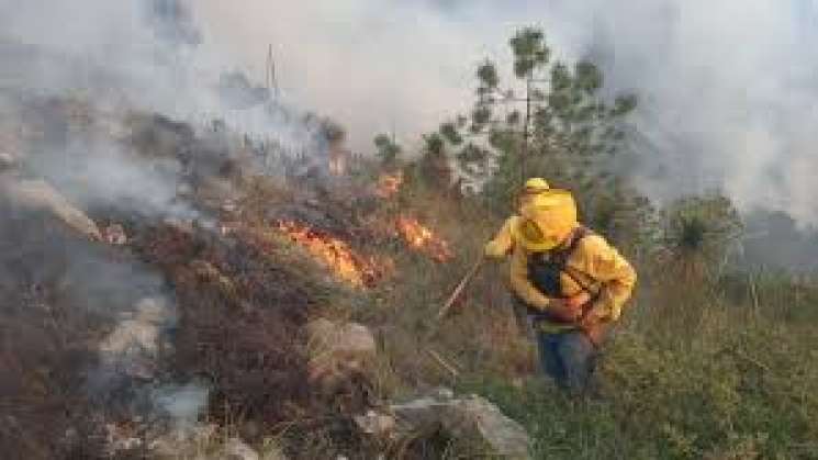 Notifica Coesfo el control total de incendio en la Costa  