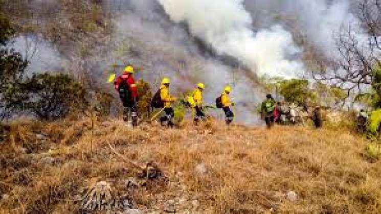 Atiende Coesfo tres incendios forestales en distintas regiones